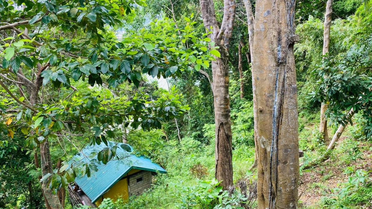 Camp Talusi Hilltop Overlooking El Nido Eksteriør billede