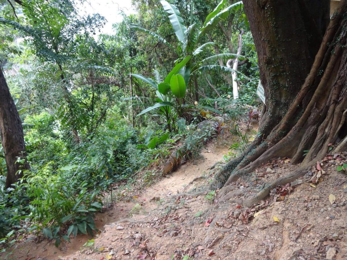 Camp Talusi Hilltop Overlooking El Nido Eksteriør billede