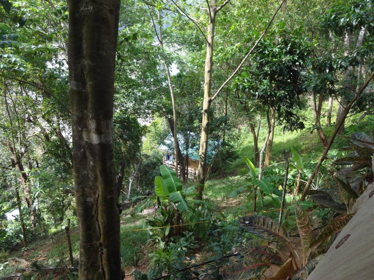 Camp Talusi Hilltop Overlooking El Nido Eksteriør billede